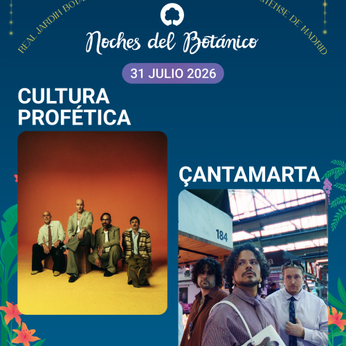 260731 CULTURA PROFÉTICA CANTAMARTA FEED (1)